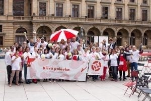 kriva