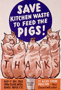 SaveKitchenWaste