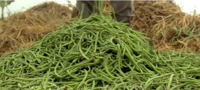 The food waste champion with a blind spot on regulation to prevent food waste