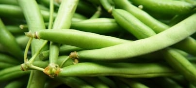 Campaign win: Tesco changes rules on Kenyan green beans to cut food waste