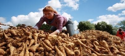 Foodrise part of European community of experts tackling food waste