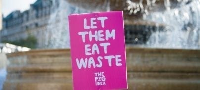 EC Farm to Fork Strategy missed the opportunity on ecofeed