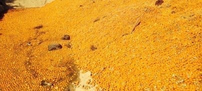 Major campaign win – EU vows to take on power of the supermarkets in new legislation