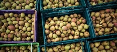 Nine steps for Michael Gove to take towards a better food system