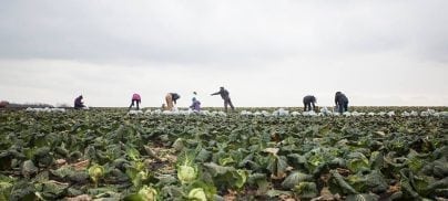 The future of English farming is in our hands