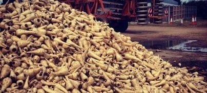 Foodrise’s response to Tesco’s publication of their annual food waste