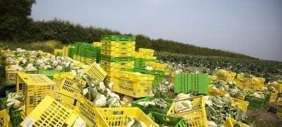 Foodrise’s responds to new food waste figures