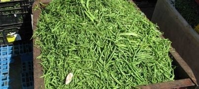 Surplus fruit and vegetables used in Kenya to feed thousands