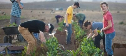 On World Environment Day we urge a transition to plant-rich diets