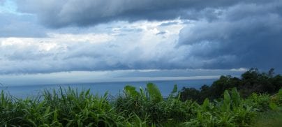 Citizens’ food choices can be a major weapon in the fight against runaway climate change – but only if governments act