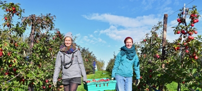 Foodrise at CoP24 – what can climate policy-makers do to fix our food system?