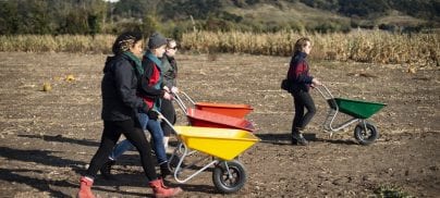 What is land for? Foodrise at the Oxford Real Farming Conference