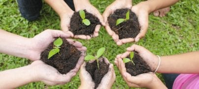 Listen to Foodrise’s Lucy Antal discuss the food circular economy