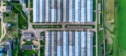 Development Banks have no place in factory farming