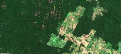Why parliamentary pensions investments in JBS matter for regulatory due diligence on deforestation