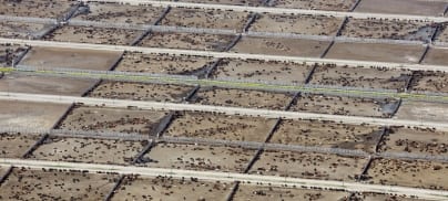 The extent of investor myopia on the livestock sector is simply startling