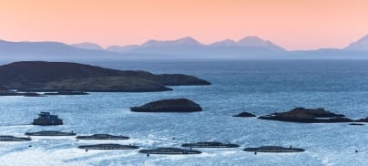 New legal challenge to the “awful business” of salmon factory farming