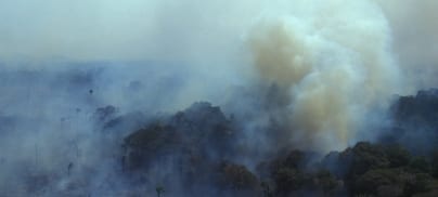 To avert climate disaster, we need food system justice now