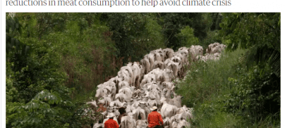 Banks and pension funds among investors bankrolling meat and dairy