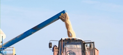 ‘Food Over Feed’: War in Ukraine Highlights Need for Dietary Change