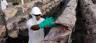 Banks driving increase in global meat and dairy production