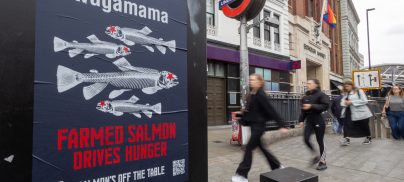 Chris Packham urges Wagamama to remove farmed salmon from menu