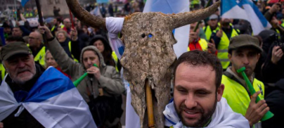 The Guardian: Beef and lamb get 580 times more in EU subsidies than legumes, study finds