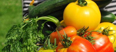 Vegconomist – 10 actions government can take to ensure its food strategy is a success.