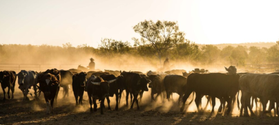 Farmers Weekly – Foodrise case seeks to revive Aussie trade deal challenge